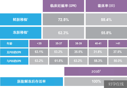 马来西亚阿儿法试管婴儿成功率