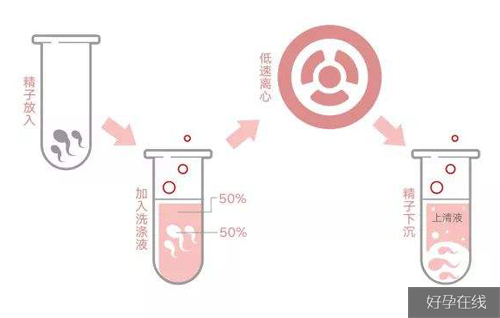 乙肝指标阳性能做试管婴儿吗